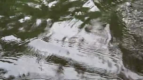 Welle Aufregung Schwankungen Der Oberfläche Eines Waldsees Unter Dem Einfluss — Stockvideo