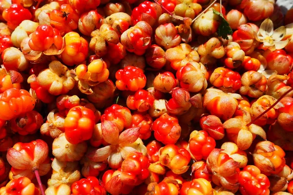 Rubus chamaemorus, gülgiller (Rosaceae) familyasından bir gül türü. Cloudberry, Nordic berry, bakeapple, knotberry, Aqpik ya da düşük çalılı salmonberry Averin ya da Evron