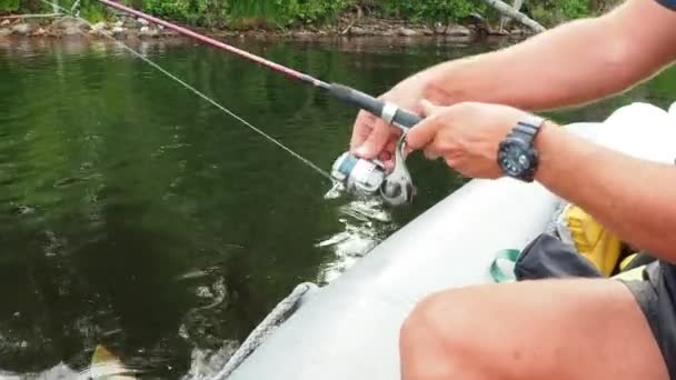 Pesca Verão Amador Pescador Com Pernas Peludas Braços Sentado Barco — Vídeo de Stock