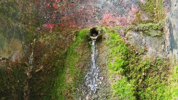 Banja Koviljaca Service Guchevo Loznica 春の3つのソース Guchevo山から流れるミネラル天然水を癒します 苔と岩の上に地衣類 — ストック写真