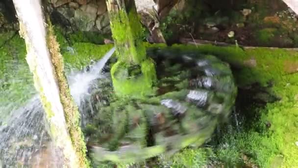 Stanisici Bijelina Bosna Hercegovina Vodní Mlýn Dřevo Hydraulická Konstrukce Využívající — Stock video