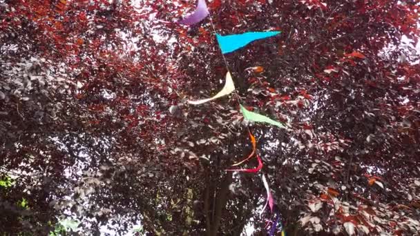 Rüzgarda Dalgalanan Ipte Çok Renkli Kurdele Bayrakları Parkın Avlunun Şenlikli — Stok video
