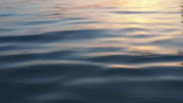 Спокійна Вода Бризами Гладкими Хвилями Текстура Води Водна Поверхня Які — стокове відео