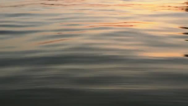Спокійна Вода Бризами Гладкими Хвилями Текстура Води Водна Поверхня Які — стокове відео