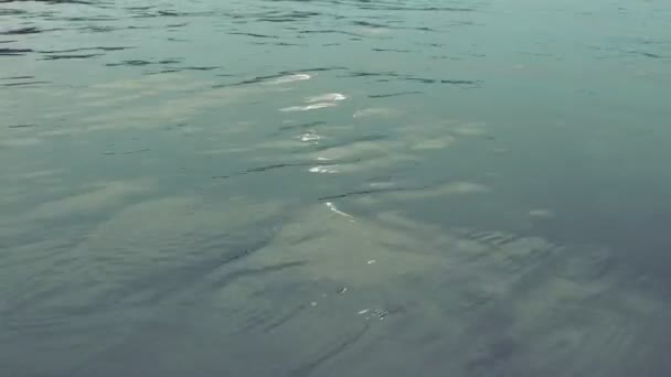 Blaugrün Türkisfarbene Wasseroberfläche Weiche Wellen Plätschern Bei Trübem Wetter Spontane — Stockvideo