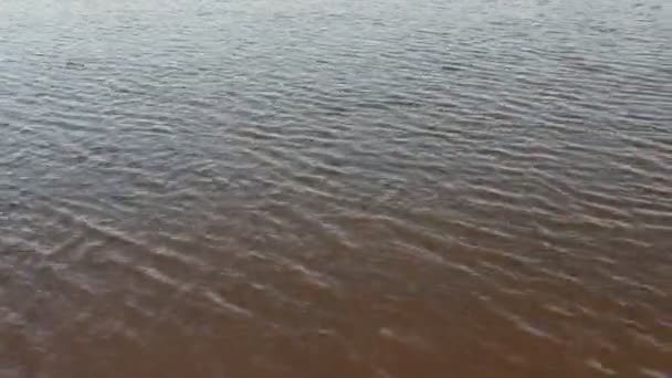 Der Natürliche Wasserfluss Des Flusses Ist Ein Gewässer Von Beträchtlicher — Stockvideo
