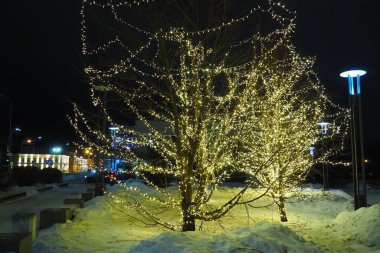 New Year or Christmas city night street. Snowdrifts. Tree lighting design. Winding garlands of the trunk and branches. LED Christmas decorations. Garlands - spider and clip light. Electric lighting.