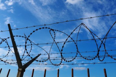 Barbed wire against the blue sky. Barbed wire is a wire or a narrow strip of metal with sharp spikes. Device of barriers. The concept of freedom, protection of property, violence, imprisonment.