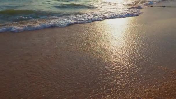 모래가 해안에는 파도가 바다나 바다의 해돋이 움직임 파도는 거품으로 소용돌이치고 — 비디오