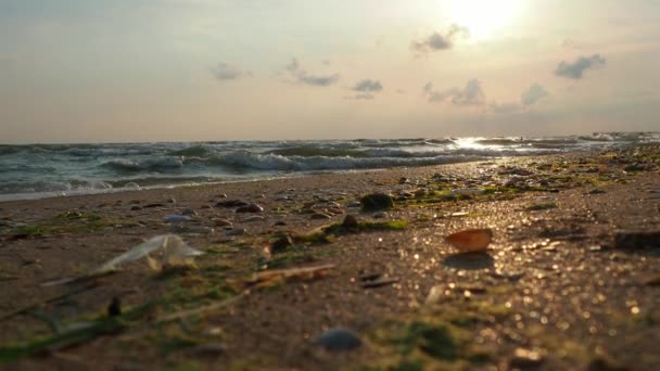 平静的波浪在沙滩上翻滚 日落在海上或海上 水的流动 浪涌上浪花 旅游天堂 旅游海滩主题 太阳在波浪中的反射 — 图库视频影像