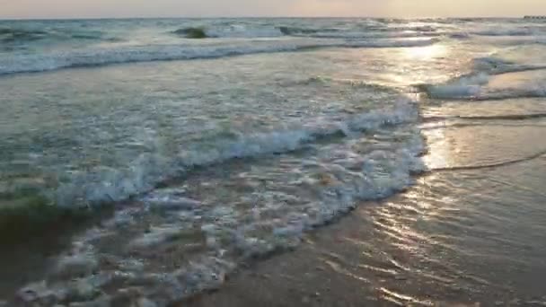 Ondas Calmas Rolam Sobre Costa Arenosa Pôr Sol Mar Oceano — Vídeo de Stock