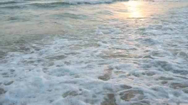 Sandy Shore Black Sea Calm Waves Roll Sandy Shore Sunset — Stock Video