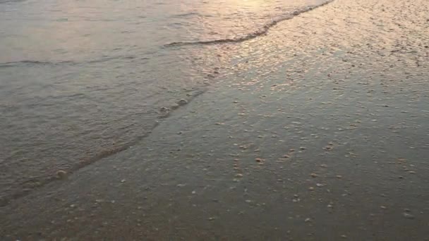 黒海のサンディー海岸 穏やかな波が砂浜を横切っています 海や海での夕日とアフターグロー 水の動きについて 波は泡で激しくなっている 観光パラダイス 美しい夕方の海岸 — ストック動画