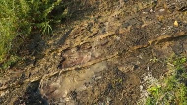 Flysch, çoğunlukla klasikleşmiş deniz tortulu bir kaya serisidir. Litolojik katmanların değişmesi. Bir kayadan akan su ya da kanalizasyon akıntısı. Kafkas Dağları.
