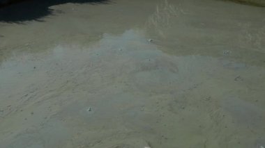 Çamur volkanı, çamur, çamur, çamur, su ve gazların püskürmesiyle oluşmuş bir toprak parçasıdır. Çeşitli jeolojik süreçler. Tedavi edici kilin yüzeyinde hava veya gaz kabarcıkları patlıyor. Temryuk.
