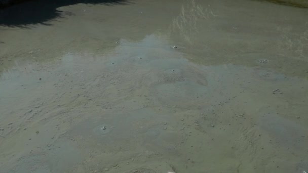 泥の火山 泥のドームは泥かスラリー 水およびガスの噴火によって作成される地形です いくつかの地質学的プロセス 空気やガスの泡が治療粘土の表面に爆発する テムリューク — ストック動画