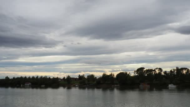曇った天気の風景 サヴァ川 スレムスカ ミトロヴィツァからマクヴァンツァ ミトロヴィツァの銀行の景色 美しい灰色の雲がゆっくりと森の上に浮かんでいる 10月 川に流れる水 — ストック動画