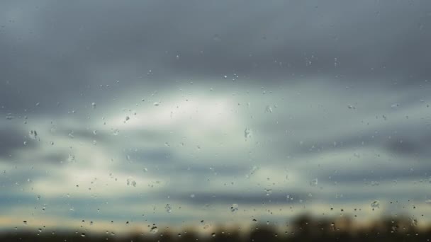 雨和灰色的云 蓬松蓬松的乌云 积云云天云雾时间消逝 秋天的时间过去了自然天气预报 云彩的背景 云彩戏剧性的快速视频风暴 塞尔维亚塞雷姆 — 图库视频影像