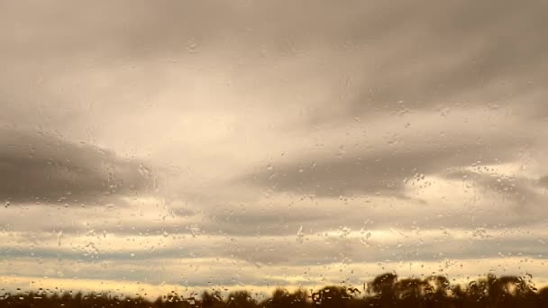 雨和灰色的云 阳光温暖的光芒 日落了积云云天云雾时间消逝 秋天的时间过去了自然天气预报 云彩的背景 云彩戏剧性的快速视频风暴 混合玻璃杯 — 图库视频影像