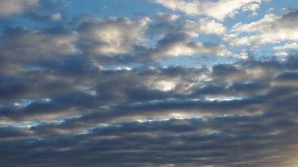 Altocumulus High Cumulus Heaped Cloud Genus Tillhör Stratocumuliform Globala Vikter — Stockvideo