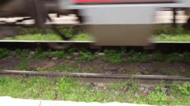 Yük treni çok hızlı gider. Demiryolları. Arabalar, pusucular ve raylar. Ulaşım endüstrisi. Bir tren dolusu kargo konteynırı geçiyor. Demiryollarında yeşil zarafet.