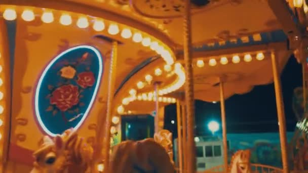 Carousel Carrousel Merry Roundabout Hurdy Gurdy Amusement Ride Consisting Rotating — Stock Video