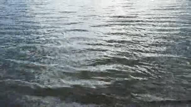 Flodens Naturliga Vattenflöde Naturligtvis Från Källan Ner Till Munnen Lugnt — Stockvideo