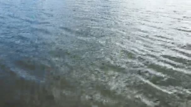 Rzeka Naturalny Przepływ Wody Ciek Wodny Naturalny Kurs Źródła Ust — Wideo stockowe