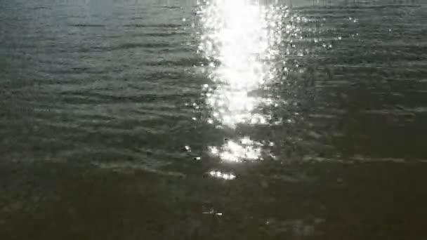 Колечки Воде Солнечные Лучи Падают Поверхность Реки Отражаются Случайным Образом — стоковое видео