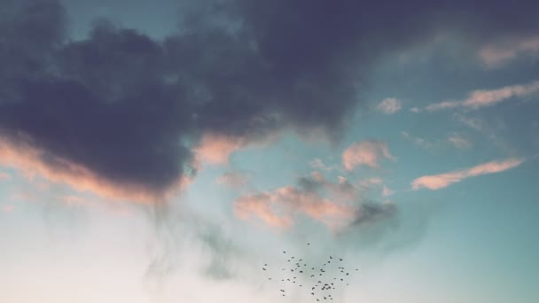 日没や日の出の間の天気 ピンクの雲がゆっくり動いている 青空の美しい雲 ボリュームライト効果 カンクルス雲 気候予報 鳥の群れが円を飛んでいる — ストック動画