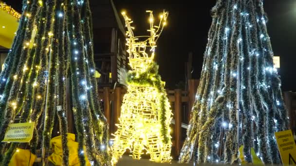 Sremska Mitrovica Serbien Rådjur Lyser Natten Gott Nytt Juldekorationer Med — Stockvideo
