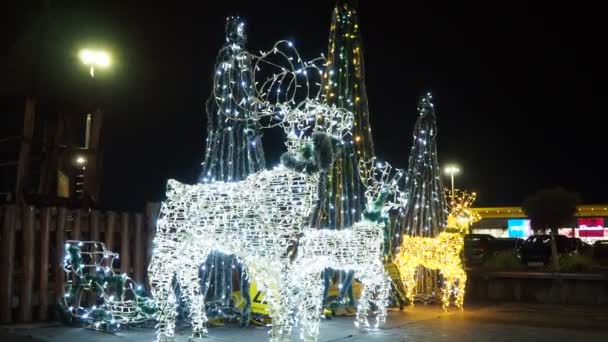 Sremska Mitrovica Serbia Jeleń Świeci Nocy Szczęśliwego Nowego Roku Dekoracje — Wideo stockowe
