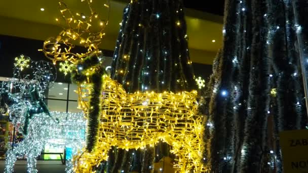 スレムスカ ミトロヴィツァ セルビア ディアは夜に輝いています 銀色の黄金の燃える球根が付いている幸せな新年のクリスマスの装飾 明るい電球 ガーランド 冬季休業について — ストック動画