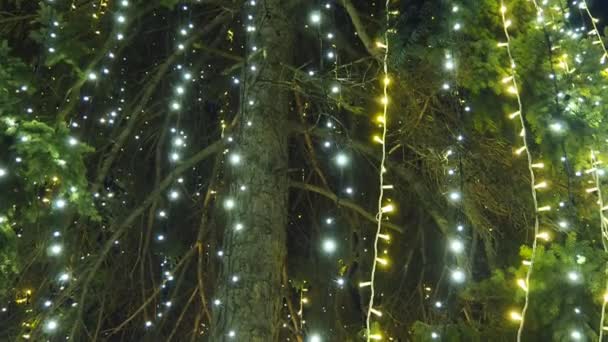 Nieuwjaar Gloeiende Gouden Bloemenslingers Hangen Boven Kerstboom Buiten Winterdecoratie Feestelijke — Stockvideo