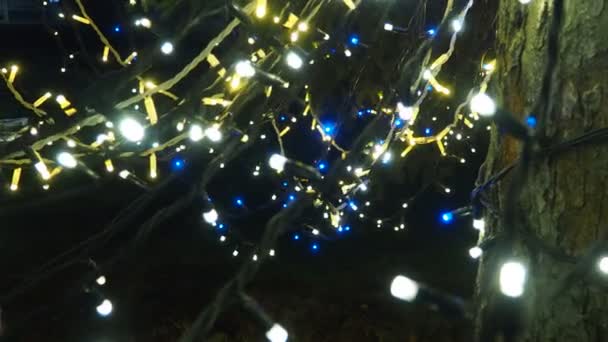 Nad Vánočním Stromečkem Visí Novoroční Zlaté Věnce Venkovní Zimní Dekorace — Stock video