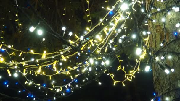 Noel Ağacının Üzerinde Parıldayan Altın Çelenkler Asılı Açık Hava Kış — Stok video