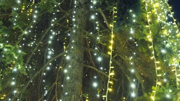Ano Novo Brilhante Guirlandas Douradas Pairam Sobre Árvore Natal Decoração — Vídeo de Stock