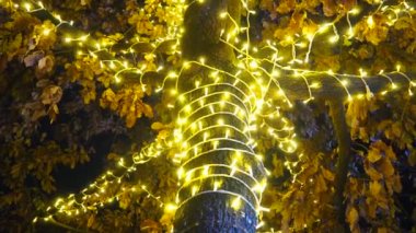 Altın sarısı çelenkler meşe ağacında asılı. Kuru meşe yapraklı sandık ve taç. Rüzgarda sallanıyor. Yılbaşı ve yılbaşı süsleri şehrin sokaklarını aydınlatıyor. Gece Şehir Dekorasyonu