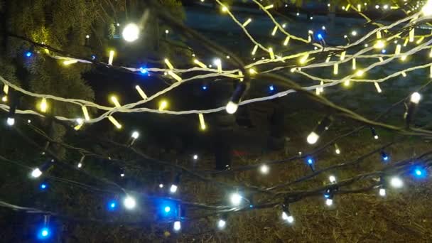 新年光彩夺目的金蓝花环笼罩着圣诞树 户外冬季装饰 节日城市的设计 花环眨眼摇曳 Bokeh摇曳灯泡 元宵节气氛很好 — 图库视频影像
