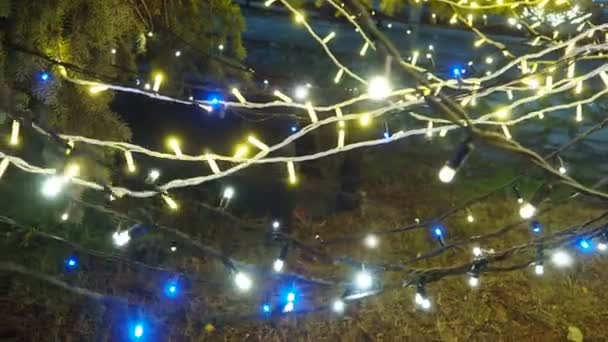 Nieuwjaar Gloeiende Gouden Blauwe Bloemenslingers Hangen Boven Kerstboom Buiten Winterdecoratie — Stockvideo