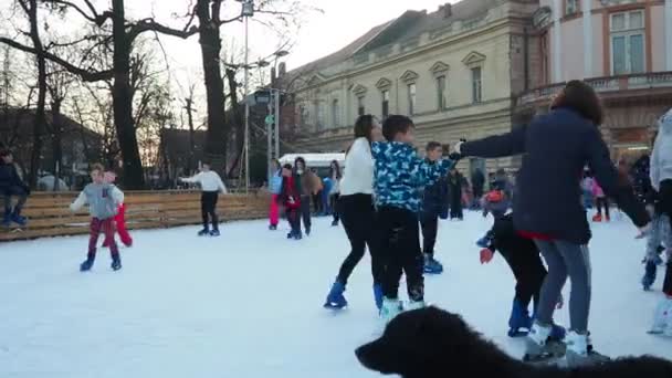 スレムスカ ミトロヴィツァ セルビア 2023 シティアイススケートリンク 子供と大人は楽しさと喜びで冬の日にスケートを楽しんでいます スクール休憩 クリスマスと年末年始 ブラックドッグヘッド — ストック動画