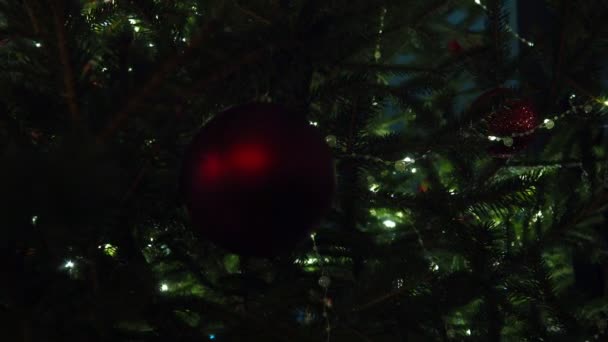 クリスマスツリーの装飾 赤いガラスのバブル ハッピーニューイヤークリスマスツリー 枝に美しいボール 家族の冬の休日のための電球のガーランドを明るくする側面のボケ フェスティバルムード ノエル — ストック動画