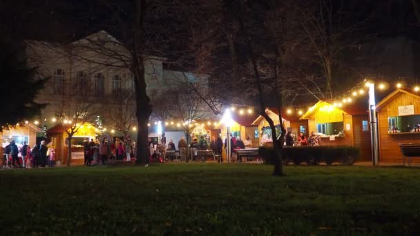 スレムスカ ミトロヴィツァ セルビア 2023 セントラルシティパークの冬のクリスマスマーケット セルビアの新年フェアの装飾とバザールの工芸品で屋台 人々は歩き 買い物をする — ストック動画