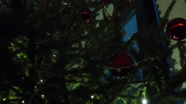 クリスマスツリーの装飾 赤いガラスのバブル ハッピーニューイヤークリスマスツリー 枝に美しいボール 家族の冬の休日のための電球のガーランドを明るくする側面のボケ フェスティバルムード ノエル — ストック動画