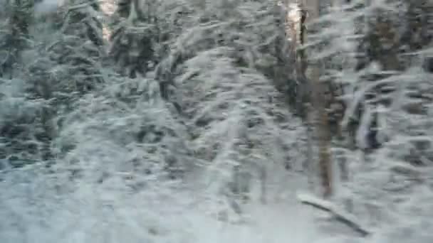 Winter Train Journey Snowy Fairy Tale View Window Moving Vehicle — Stock Video