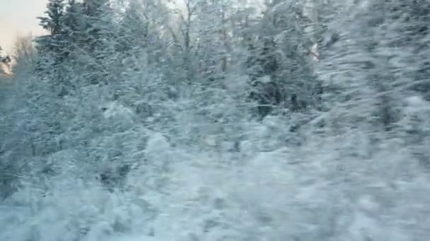 Viagem Trem Inverno Conto Fadas Nevado Vista Janela Veículo Movimento — Vídeo de Stock