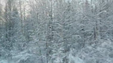 Karlı bir peri masalına kış treni yolculuğu. Hareket eden bir aracın penceresinden karla kaplı bir tayga ormanına bakın. Kar yığınları, ladin ve çam ağaçları kar altında. Tren istasyonu.