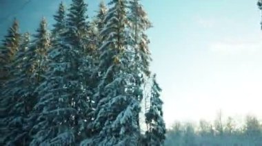 Karlı bir peri masalına kış treni yolculuğu. Hareket eden bir aracın penceresinden karla kaplı bir tayga ormanına bakın. Kar yığınları, ladin ve çam ağaçları kar altında. Karelia 'nın Doğası.