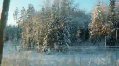 Karlı bir peri masalına kış treni yolculuğu. Hareket eden bir aracın penceresinden karla kaplı bir tayga ormanına bakın. Kar yığınları, ladin ve çam ağaçları kar altında. Karelia 'nın Doğası.
