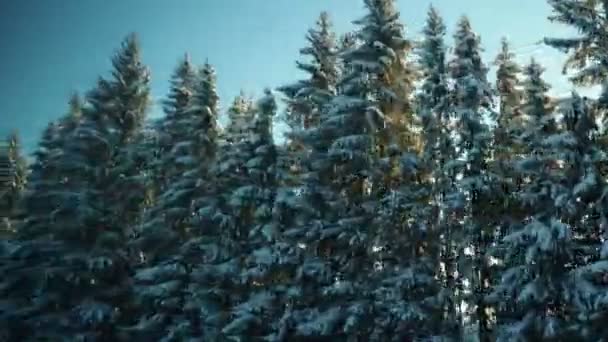Viaje Tren Invierno Cuento Hadas Nevado Vista Desde Ventana Vehículo — Vídeos de Stock